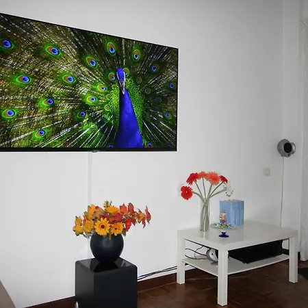 Della Tartaruga Casal Palocco