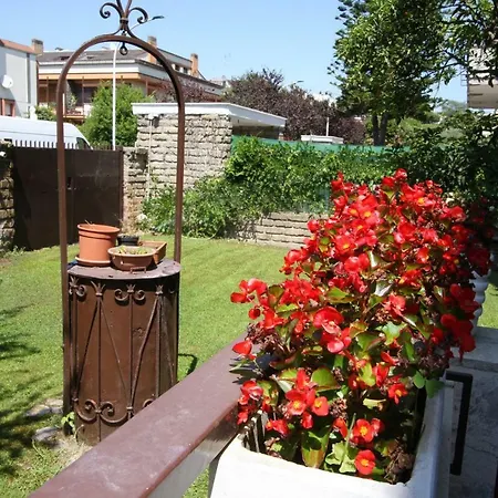 Della Tartaruga Villa Casal Palocco